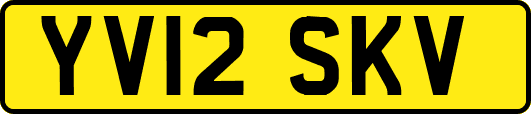 YV12SKV
