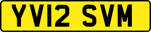 YV12SVM