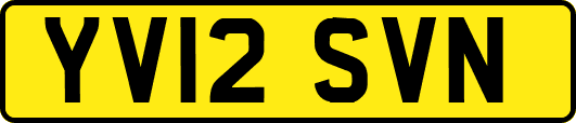 YV12SVN