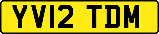 YV12TDM