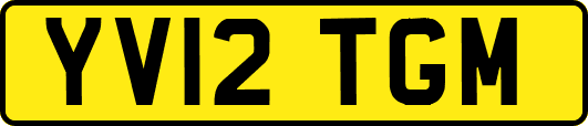 YV12TGM