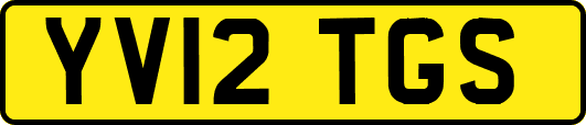 YV12TGS