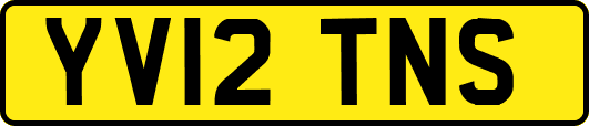 YV12TNS