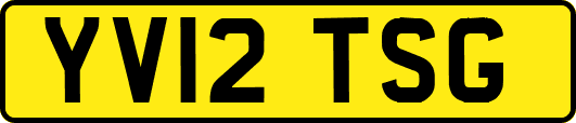 YV12TSG
