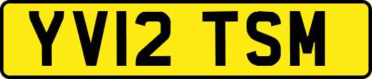 YV12TSM