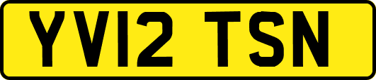 YV12TSN