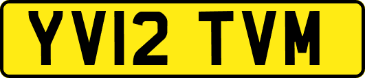 YV12TVM