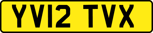YV12TVX