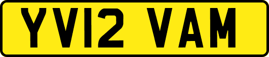YV12VAM