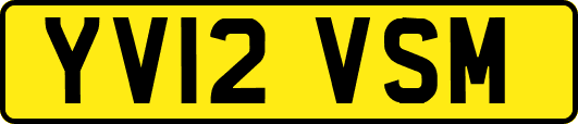 YV12VSM