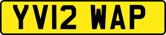 YV12WAP