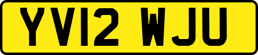 YV12WJU