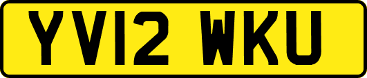 YV12WKU