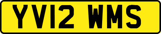 YV12WMS