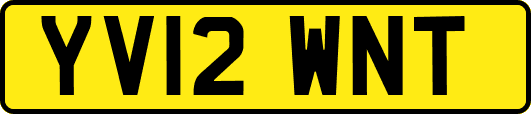 YV12WNT