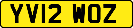 YV12WOZ