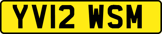 YV12WSM