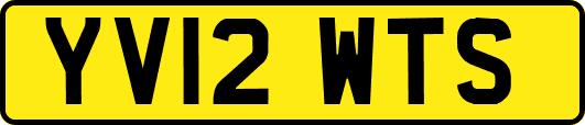 YV12WTS