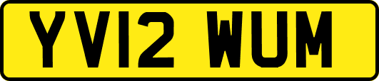 YV12WUM