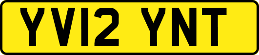 YV12YNT