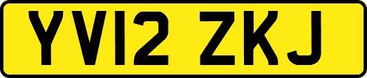 YV12ZKJ