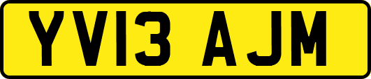 YV13AJM