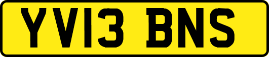 YV13BNS