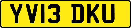 YV13DKU