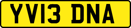 YV13DNA