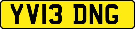 YV13DNG