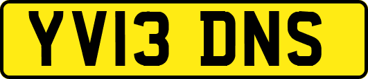 YV13DNS