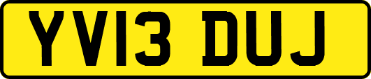 YV13DUJ