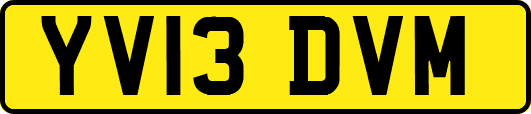 YV13DVM