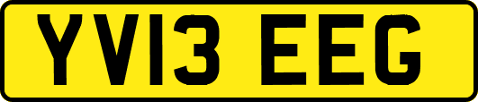 YV13EEG