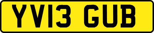 YV13GUB