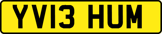 YV13HUM