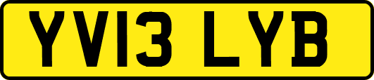 YV13LYB