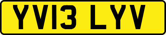 YV13LYV