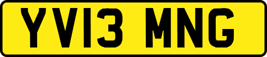 YV13MNG