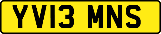 YV13MNS