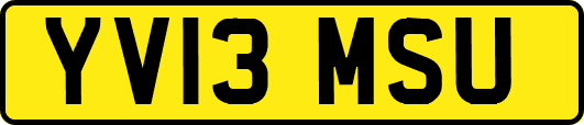 YV13MSU