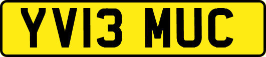 YV13MUC