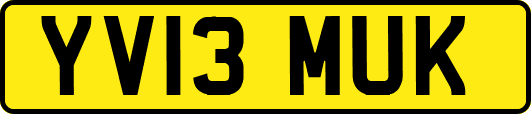 YV13MUK