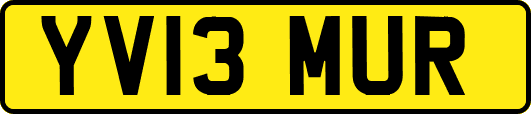 YV13MUR