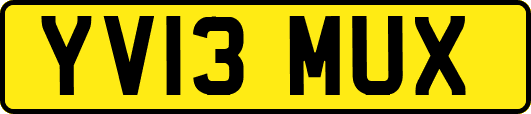 YV13MUX