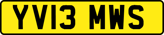 YV13MWS