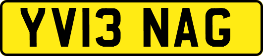 YV13NAG