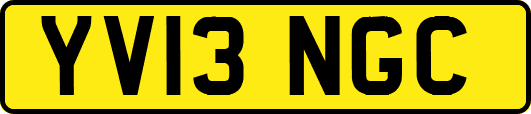 YV13NGC