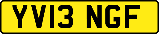 YV13NGF