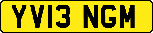 YV13NGM